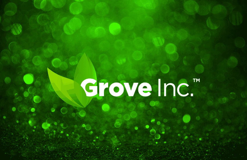 Grove Inc (GRVI): Untouchable Leader Within the CBD-Based Industry?