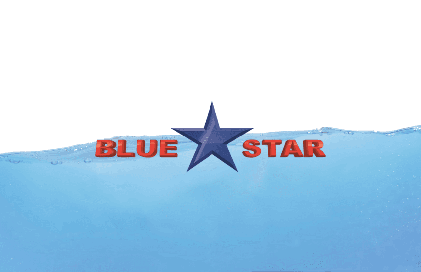Blue Star Foods: This Delicious Seafood Smallcap Could Feed You Profits For A Lifetime