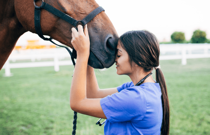 Discovering a New Breed of Veterinary Growth: Introducing Inspire Veterinary Partners, Inc., a Ground-Floor Opportunity