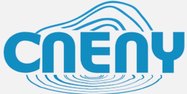 CN Energy: An Undervalued Gem in the Booming Renewable Energy Sector