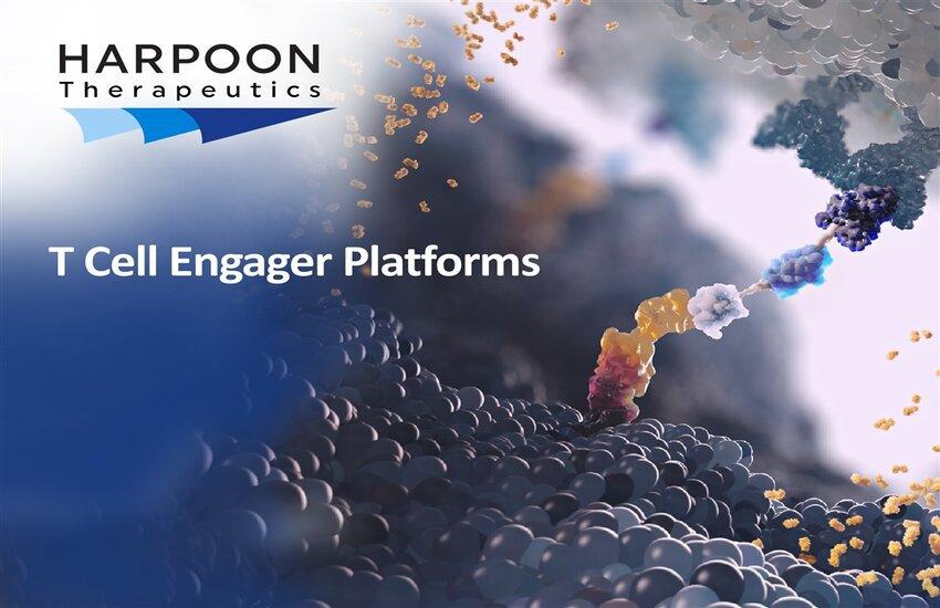 Is It The Rise Of Clinical Stage Pharma Small Caps? Decoding The Harpoon Therapeutics Acquisition By Merck!