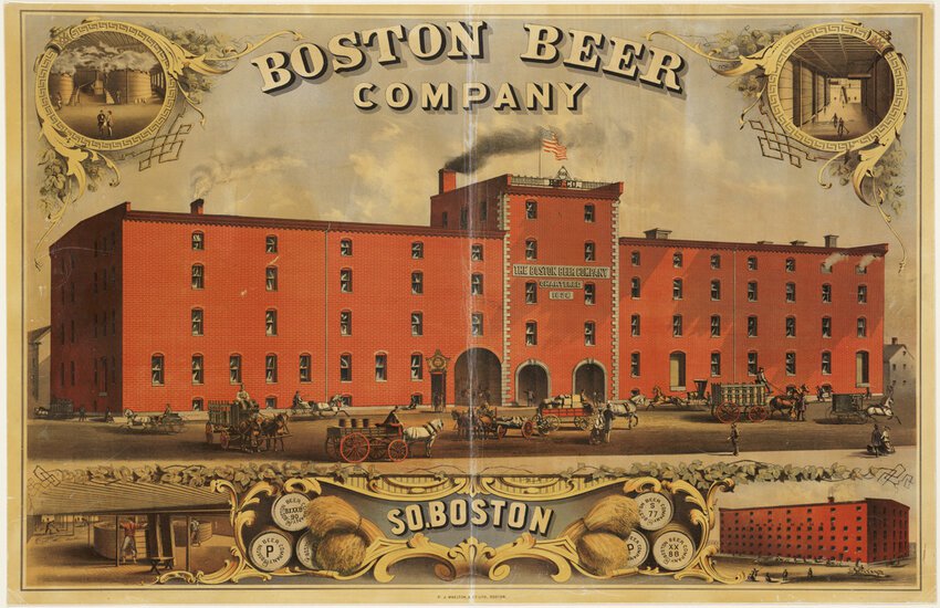 Is Boston Beer the Next Big Buyout? Investors Buzz as Takeover Rumors Swirl!